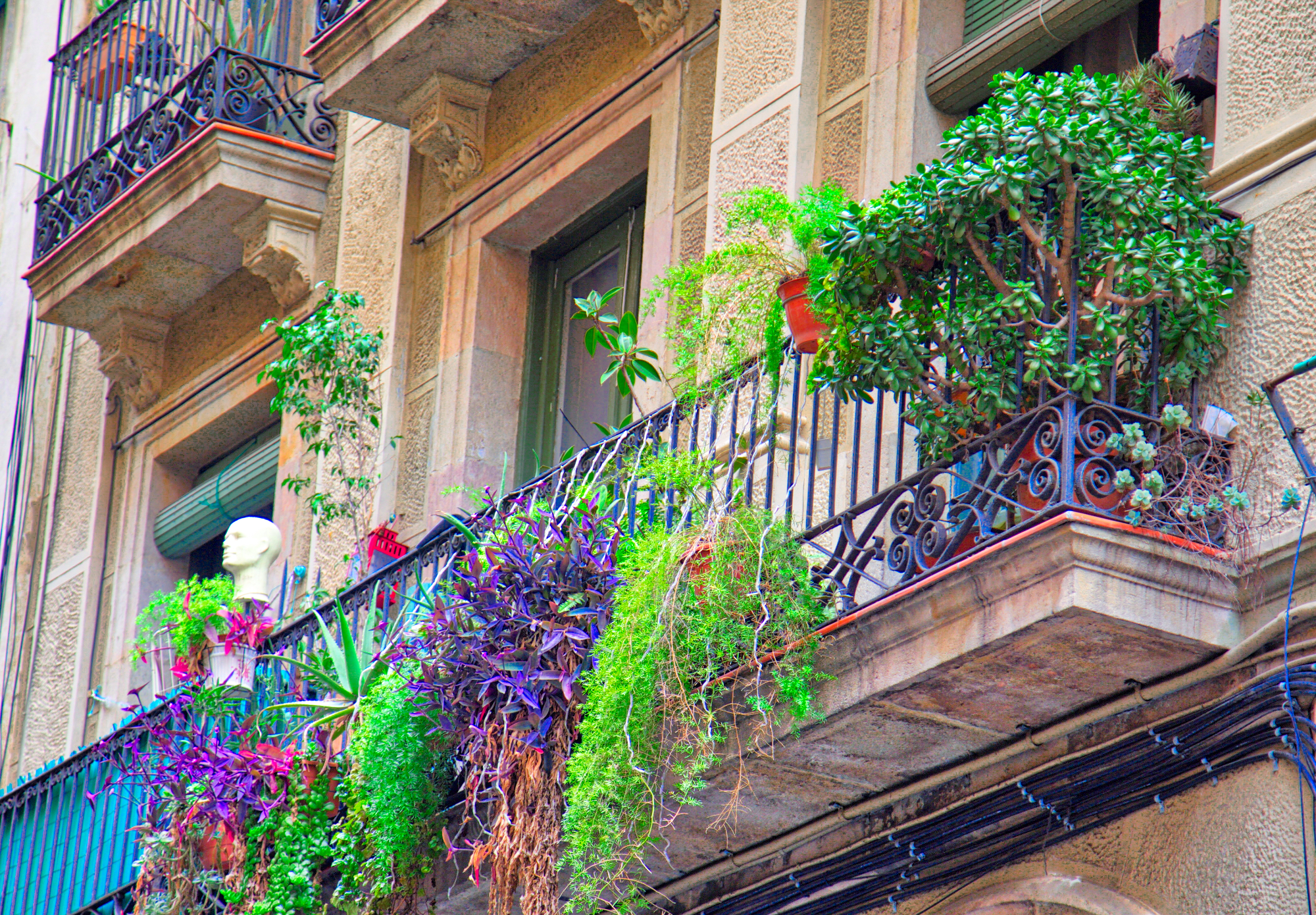 Raznobarvno balkonsko cvetje na ograji naše hiše