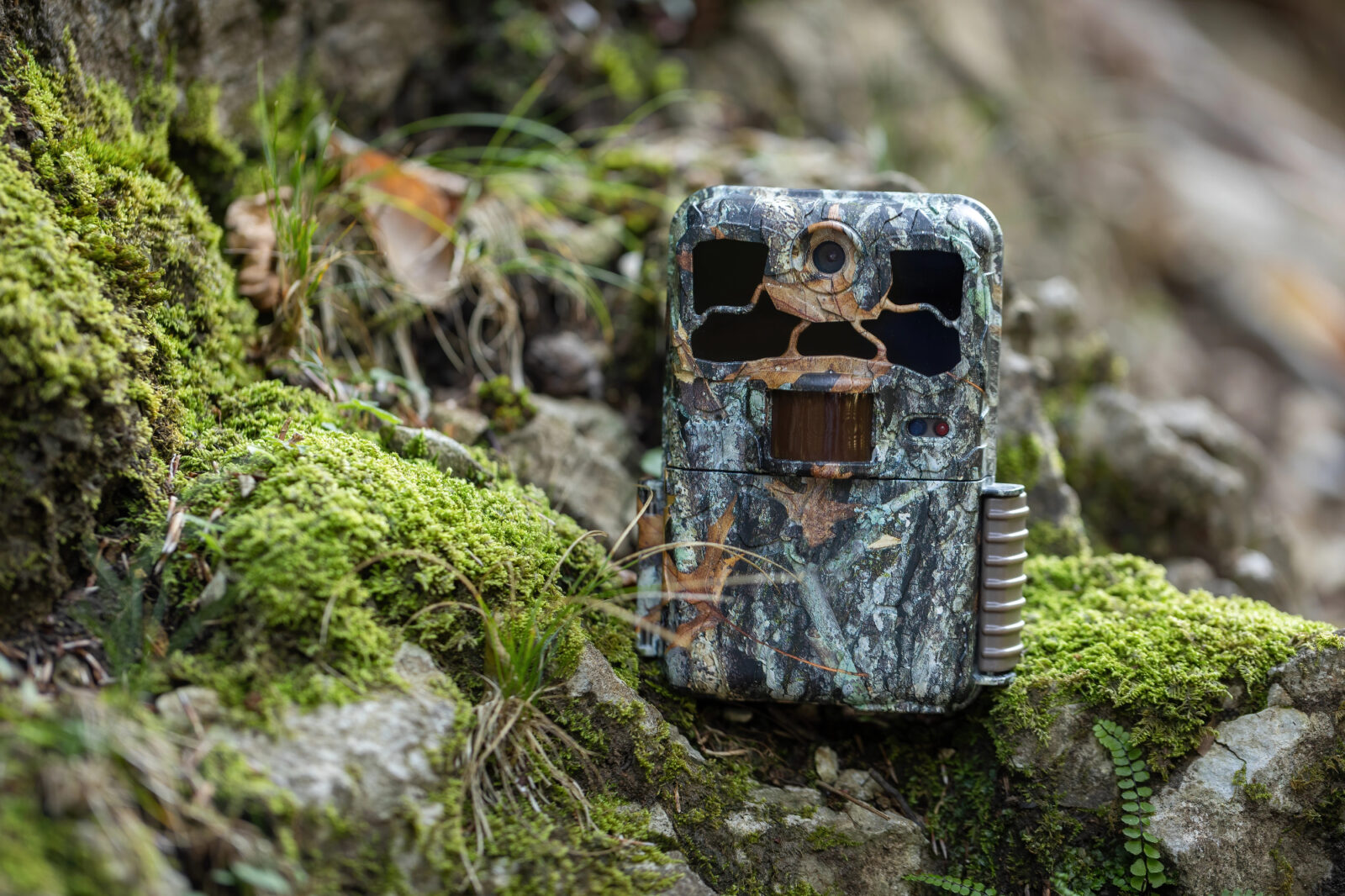 Bratrancu je dodatna lovska kamera zelo koristila